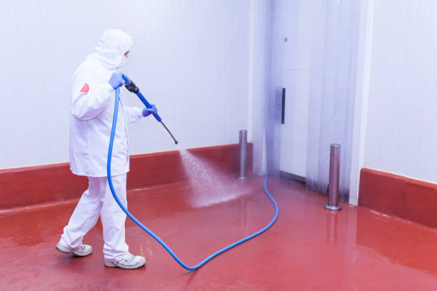 Reliable Smithfield, NC Pressure Washing Services Solutions